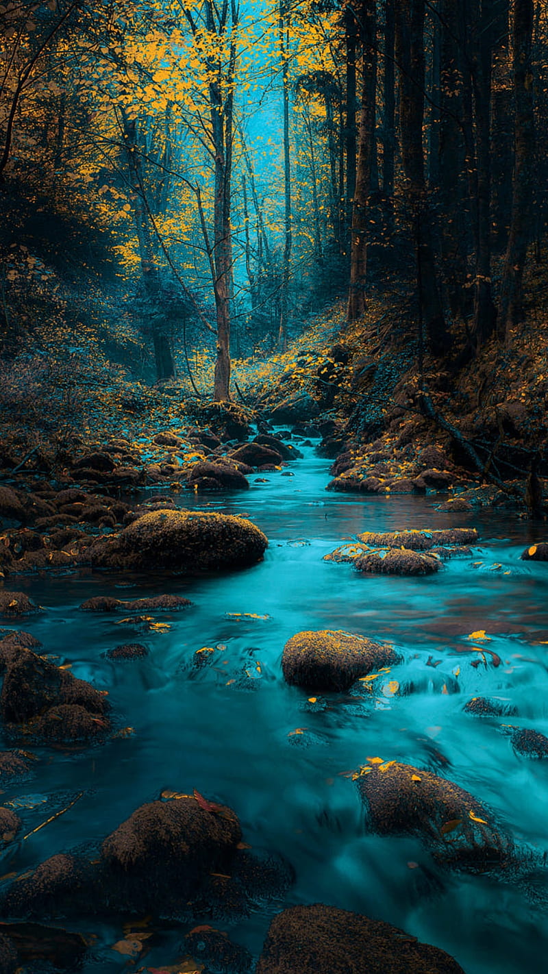 Blue river, forest, landscape, nature, rocks, trees, water, yellow leaves,  HD phone wallpaper | Peakpx