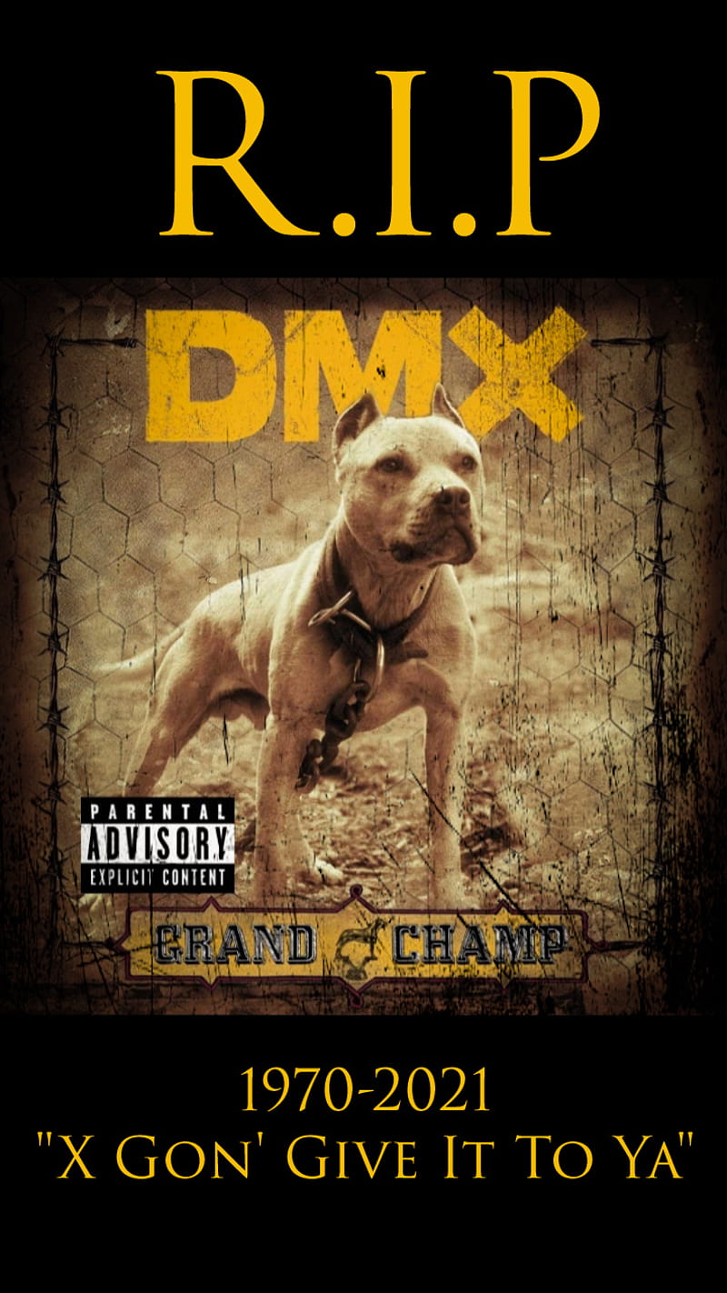 DMX, black, death, dog, rapper, yellow, HD phone wallpaper