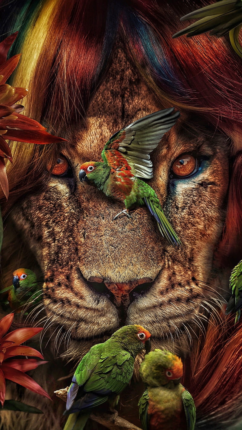 Lion, animal, birds, face, fantasy, jungle, king, parrots, wild, HD phone wallpaper