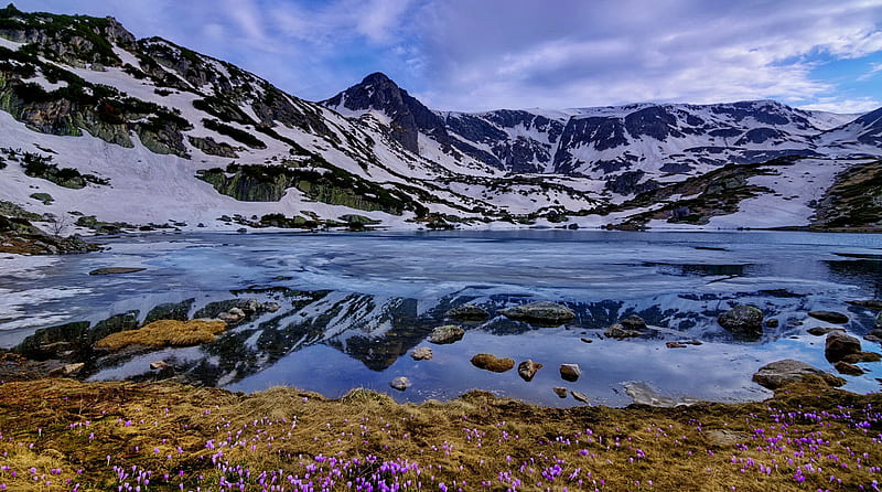Early spring in Bulgaria, mountain, early, crocuses, view, Bulgaria, bonito, spring, lake, flowers, HD wallpaper