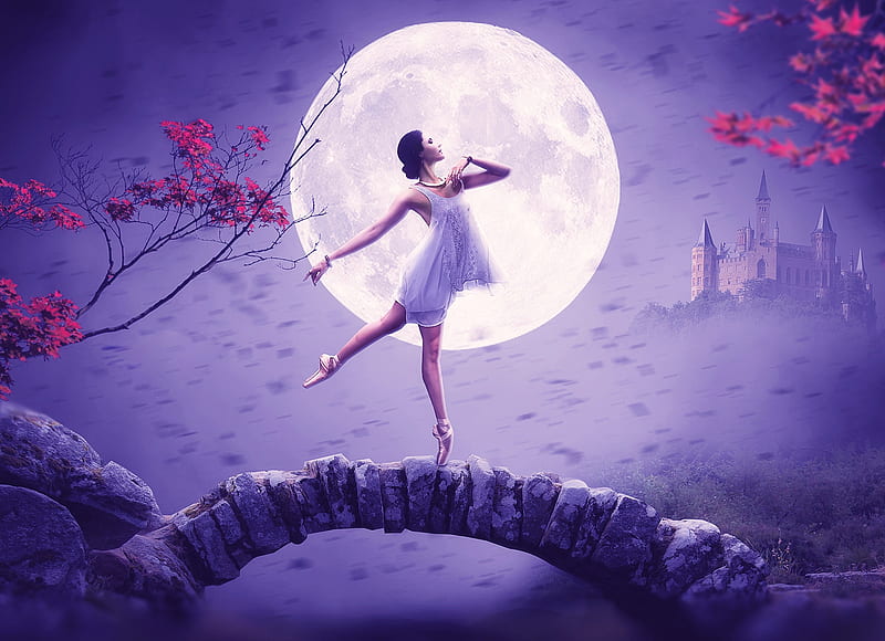 Fantasy Girl, Girl, Pose, The Moon, Ballerina, HD wallpaper