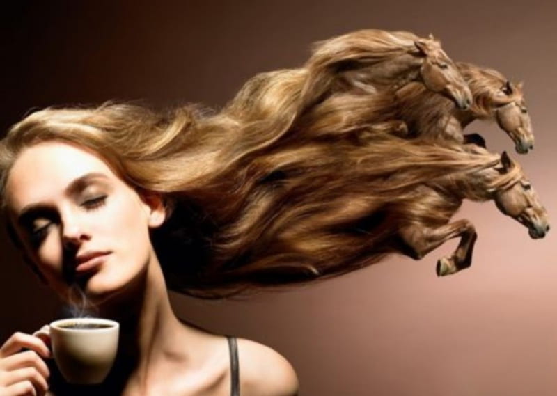 coffee, power, horse, woman, horses, hair, good, strong, beauty, morning, HD wallpaper