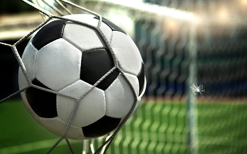 soccer ball, net, goal, football, football stadium, HD wallpaper
