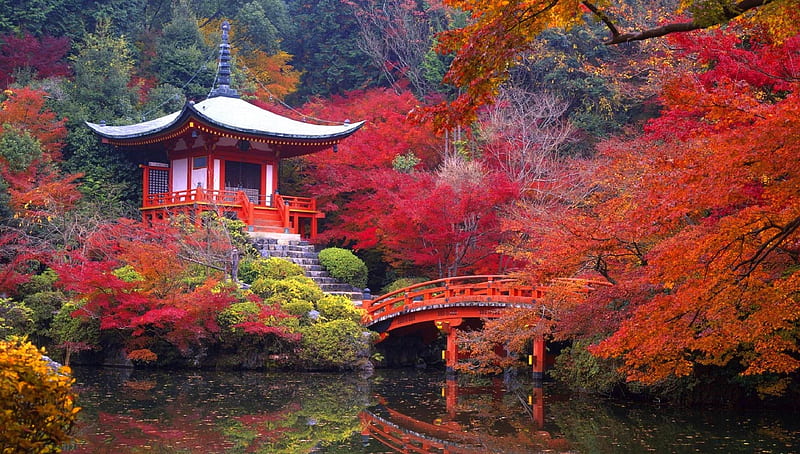 Autumn in Japan, colorful, fall, lakes, autumn, bridges, love four seasons, attractions in dreams, trees, leaves, parks, japan, grphy, garden, nature, HD wallpaper