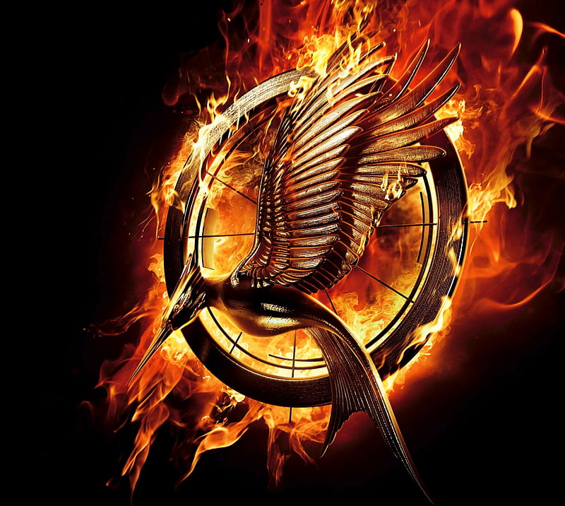 Hunger Games, catching, collins, creator, fire, mockinjay, suzanne, HD wallpaper