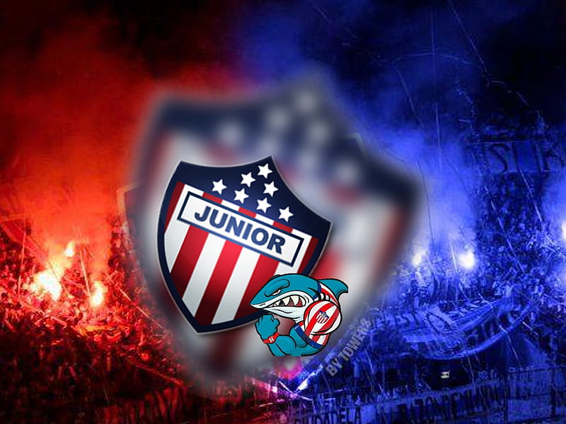 Junior Tu Papa, barranquilla, colombia, football, football, junior barranquilla, tiburones, HD wallpaper