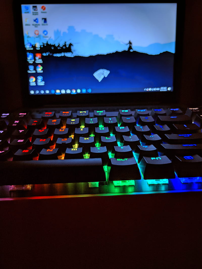 RGB Madness, coder, computer, gamer, gaming, glasses, keyboard, laptop, programmer, programming, technology, HD phone wallpaper