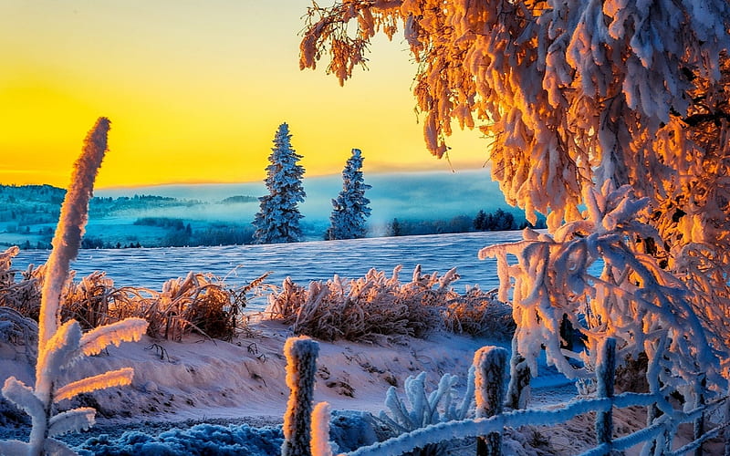 Winter, Water, hop, Trees, snow, lake, Nature, landscape, HD wallpaper