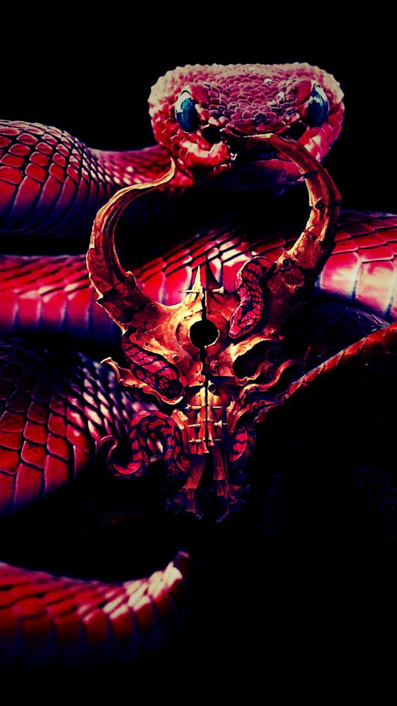Demon Hunter 07 3, snakes, snake, black, viper, reptile, serpent, demonhunter, the triptych, dark, skull, HD phone wallpaper