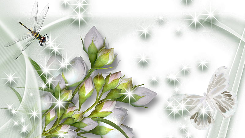 Beautiful Whites, stars, firefox persona, silk, buds, butterfly, dragonfly, shadows, flower blossoms, blooms, HD wallpaper