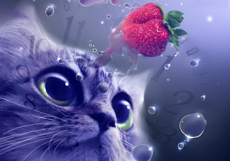 Flying strawberry, red, purple, strawberry, flying, bubbles, cat, HD wallpaper