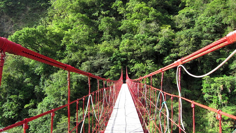 Suspension bridge, mountain, red, forest, green, HD wallpaper