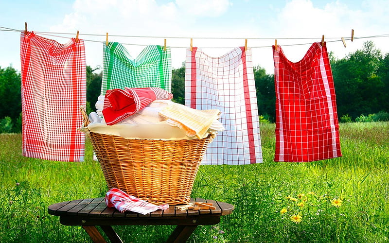 COLORFUL WORLD, clothes, clothpegs, towels, hanging, color clothes, laundry, drying, flowers, garden, backyard, HD wallpaper