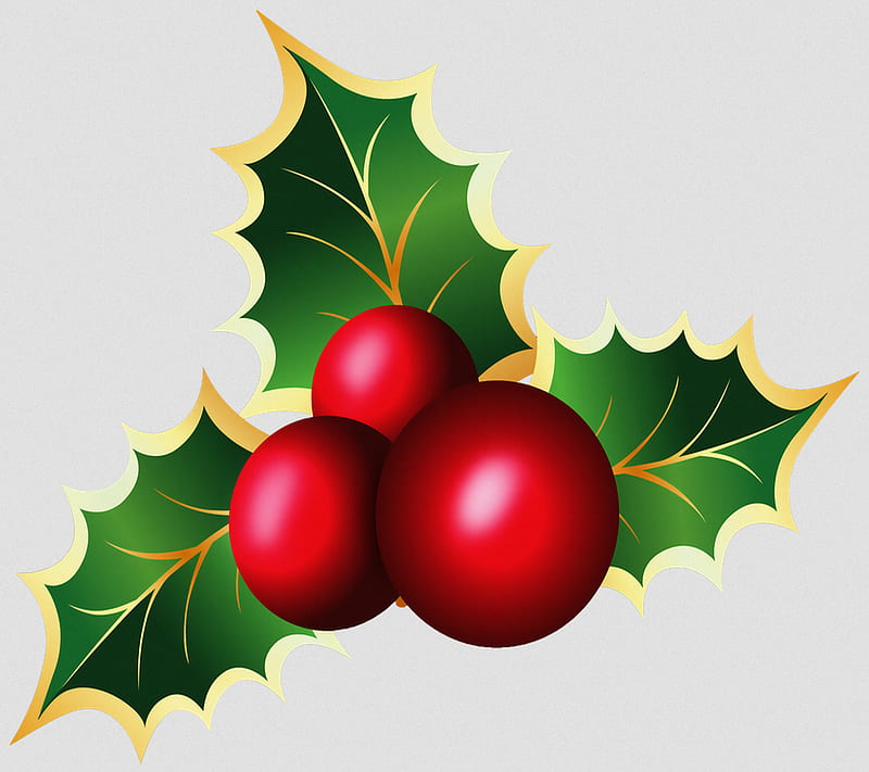 Mistletoe, christmas, decoration, green, holiday, plant, red, HD wallpaper