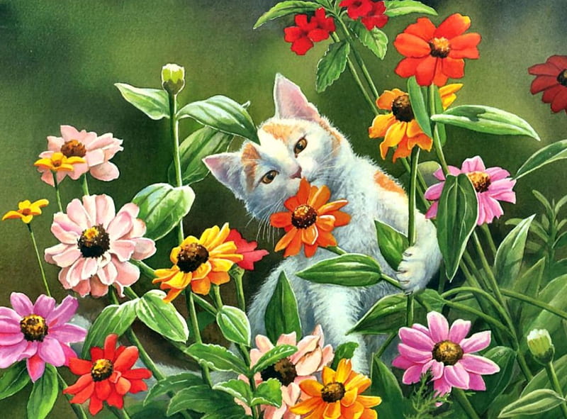 Cat in the Zinnias F, art, cat, Zinnias, artwork, animal, pet, feline, painting, wide screen, flowers, HD wallpaper