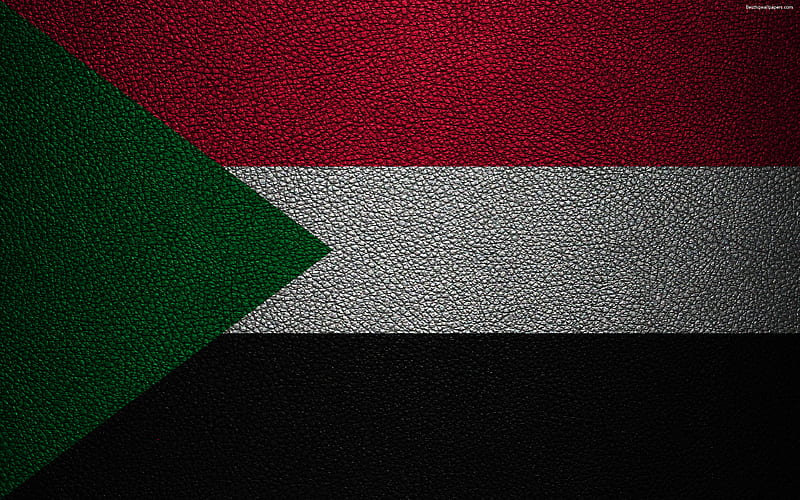 Flag of Sudan, Africa leather texture, Sudanese flag, flags of Africa, Sudan, HD wallpaper
