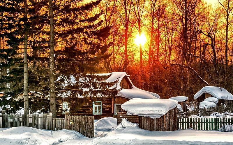 Snowy log cabin, fence, house, pine, sunlight, winter, wood, HD wallpaper