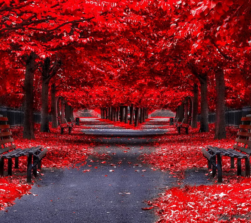 red fall wallpapers