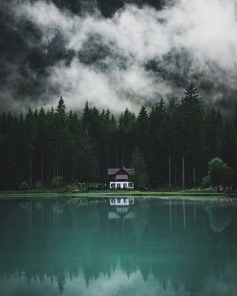 Cabin in the woods, cabin woods, foggy, green, land, usa, HD phone wallpaper