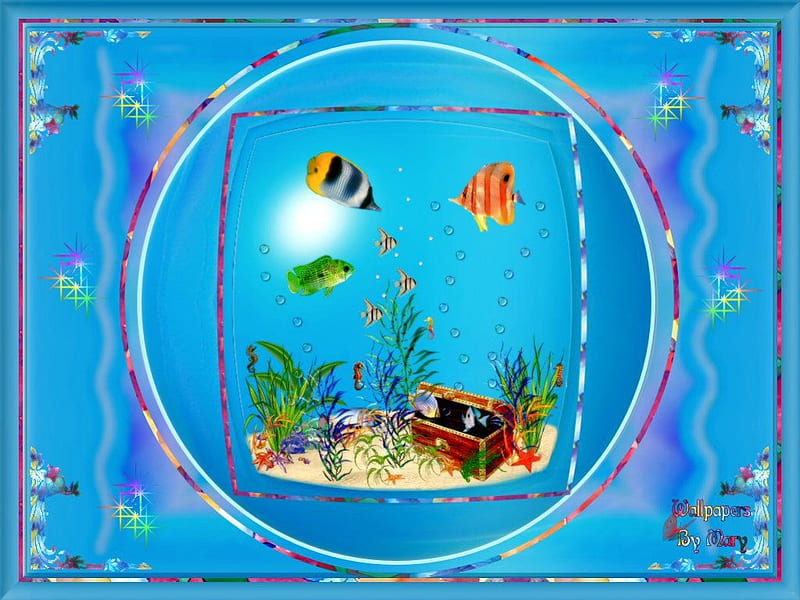Aqua Fun, oceans, seas, aquariums, fish, marinelife, HD wallpaper