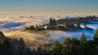 On top of the Santa Cruz Mountains California hills fog clouds