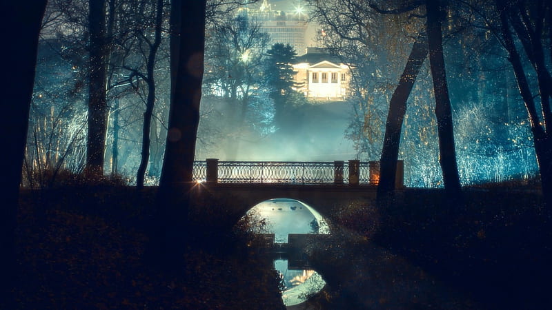 bridge in a park backlit at night, stream, bridge, park, trees, lights, night, HD wallpaper