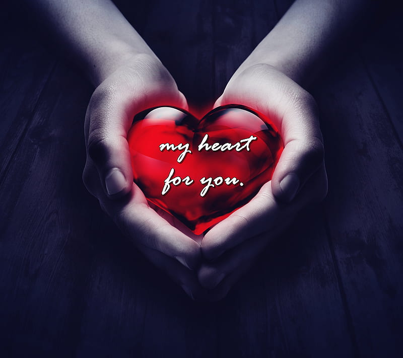Break my heart if you can фф. My Heart. My Heart for you. Красное сердце в руках. My Heart картинка.