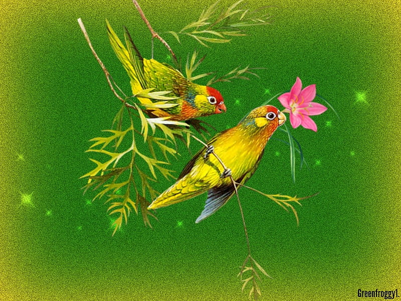 LITTLE BIRDS, BIRDS, TWO LITTLE, HD wallpaper | Peakpx