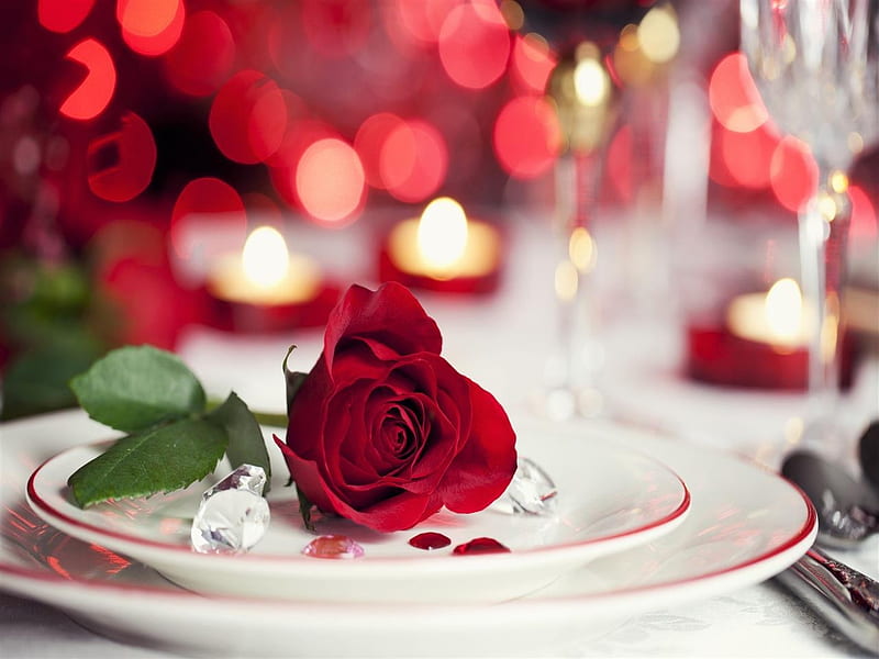 Romantic Dinner, Rose, Plates, Red, Dinner, HD wallpaper