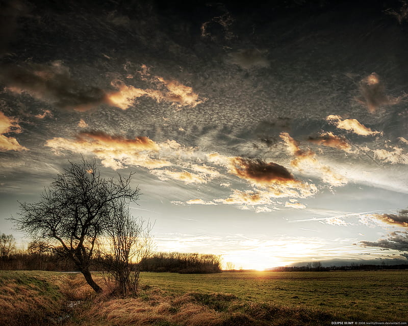 Scene From A Dream, tree, gray, clouds, sky, field, HD wallpaper | Peakpx