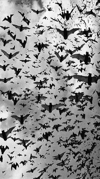 Premium Vector  Gothic halloween seamless pattern made up many flying  black bats ornamental paper design