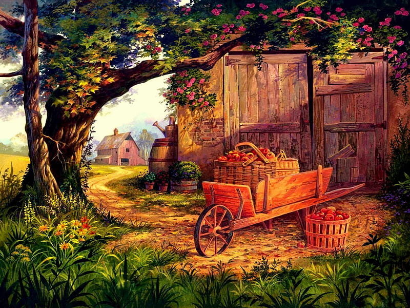 Delicious, baskets, apples, cart, shed, wheelbarrow, trees, barn, HD wallpaper