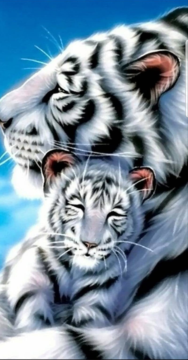 Tiger, tiger, blanc, HD phone wallpaper
