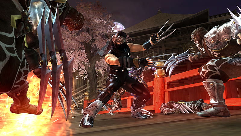Ninja Gaiden, ninja gaiden ii, ninja gaiden 2, fighter, video game, HD wallpaper