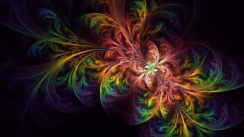 Feather Tangled Colorful Fractal Abstract, HD wallpaper