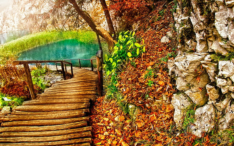 Autumn, rocks grass, high dynamic range, background, fog, nice, multicolor path, bright, paisage, wood, brightness, smoky, beige, garden, white, wooden, red, rocs, stairs, bonito, seasons, leaves, roots, green, way, smoke, scenery, blue, forest, lakes, maroon, mist, pond, tree, paisagem, autumn colors, day, r, nature misty, branches, pc, scene, foggy, orange, autumn leaves, magic, cenario, splendor, beauty, forests, morning, reflection, rivers, , lovely, warm, paysage, cena, trees, lagoons, water, cool, awesome, computer, fence, fall, colorful, brown, gray, woods, laguna, trunks graphy, effects, grove, amazing multi-coloured, view, national parks, colors, creek, lake, leaf, plants, peaceful, curve, colours, natural, HD wallpaper