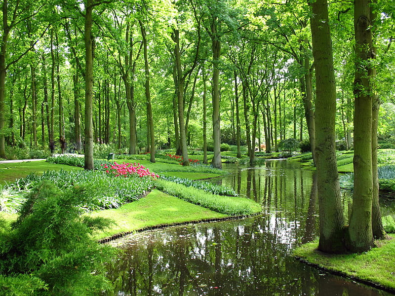 Gardens of Keukenhof., tree, grass, flower, path, garden, keukenhof, lake, HD wallpaper