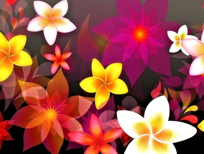 Flores de colores, coloridas, bonitas, arte, flores, Fondo de pantalla HD |  Peakpx