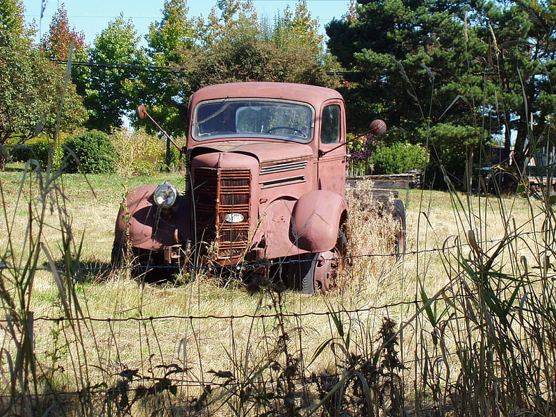 Rusty, rusted, vehicle, old truck, fix, old, rust, car, beauty, truck, HD wallpaper