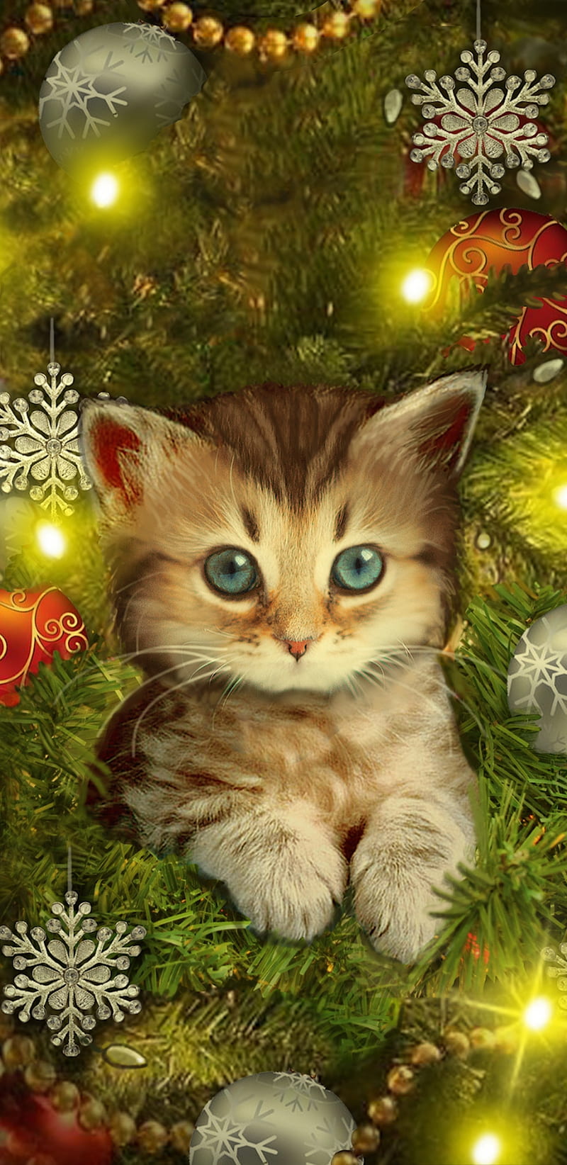 Christmas Kitty, cute, holiday, cat, lights, tree, HD phone wallpaper