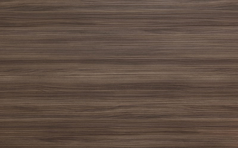 gray wooden background, wood texture, brown wood texture, wood, HD wallpaper