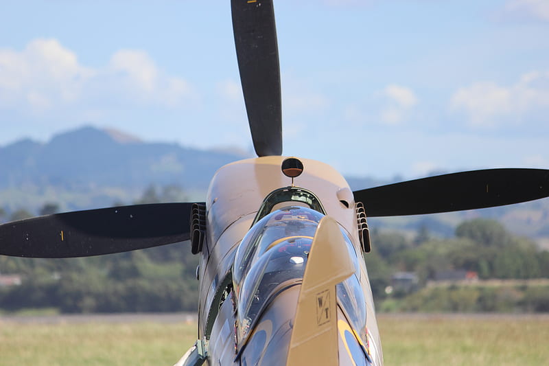 Kiwi spitfire, aviation, new zealand, spitfire, supermarine, tauranga, warbirds, HD wallpaper