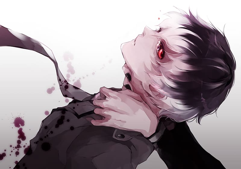 HD wallpaper: Anime, Tokyo Ghoul:re, Haise Sasaki, Ken Kaneki