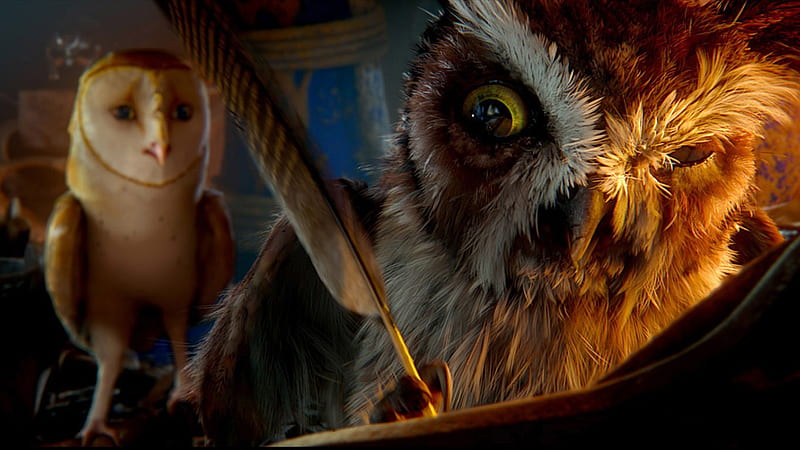 Legend of the Guardians-The Owls of GaHoole movie 20, HD wallpaper