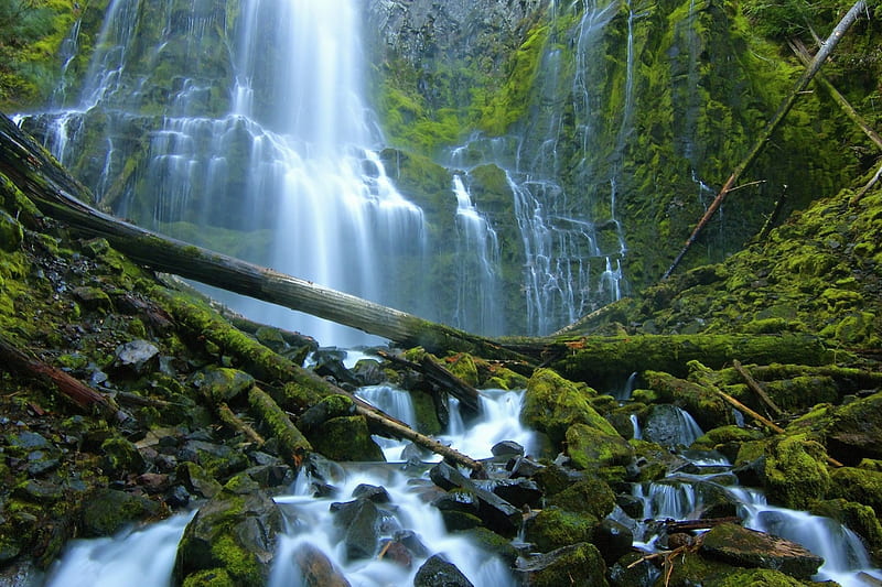 Proxy Falls, Three Sisters Wilderness, Oregon, mountain, river, water, trees, HD wallpaper