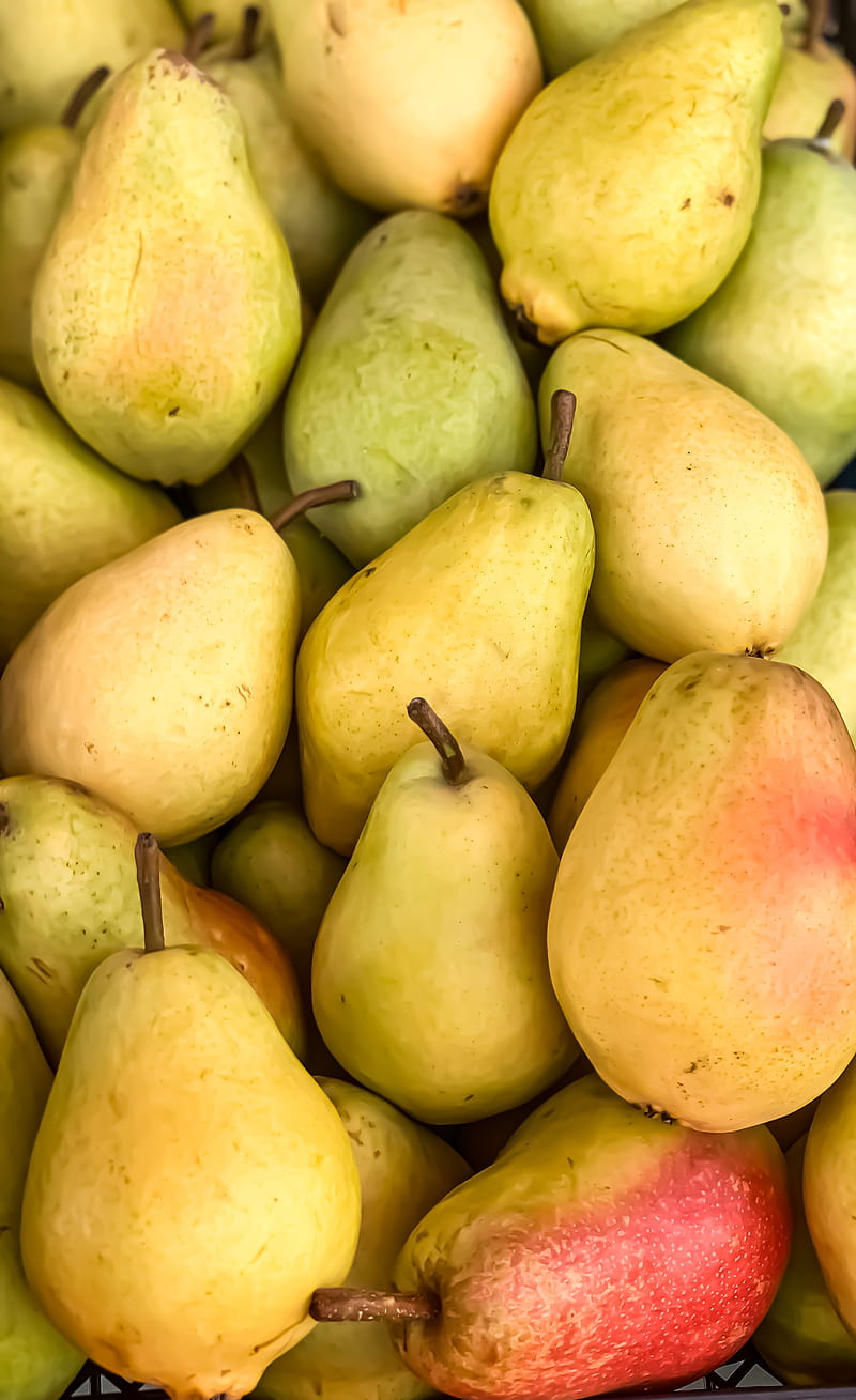 pears, fruit, yellow, HD phone wallpaper