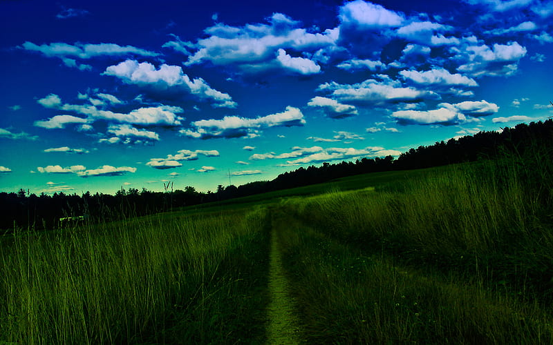 The Right Way ..., green, grass, path, fields, blue sky, clouds, HD wallpaper