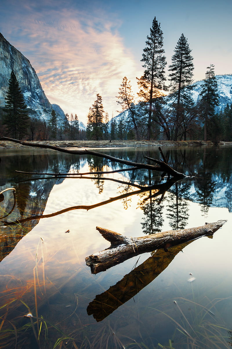 mountains, lake, snag, trees, HD phone wallpaper
