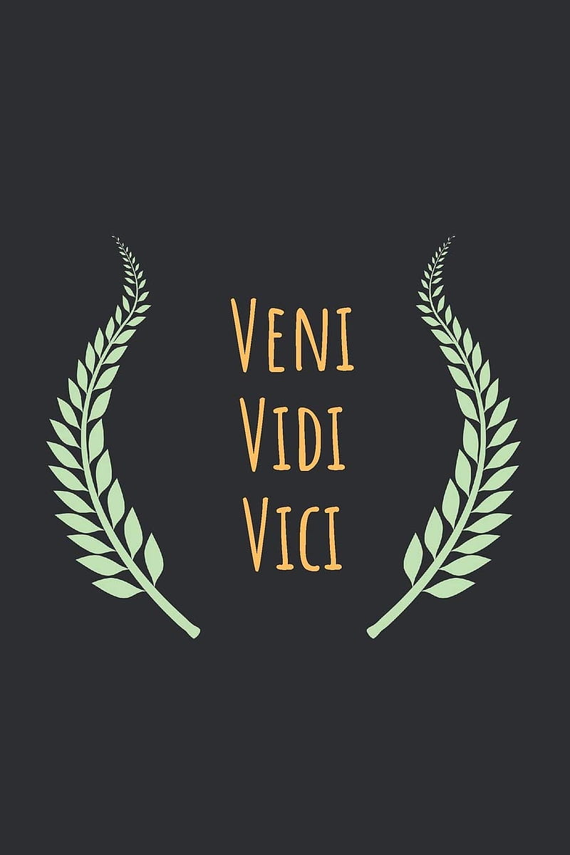 Veni Vidi Vici: Latin sentence: Perfect Size 110 Page Journal Notebook Diary (110 Pages, Lined, 6 x 9): Smarty, Marky: 9781096523383: Books, HD phone wallpaper