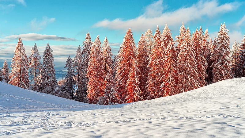 Snow Covered Mountain And Trees Under Blue Sky With Clouds Winter, HD wallpaper